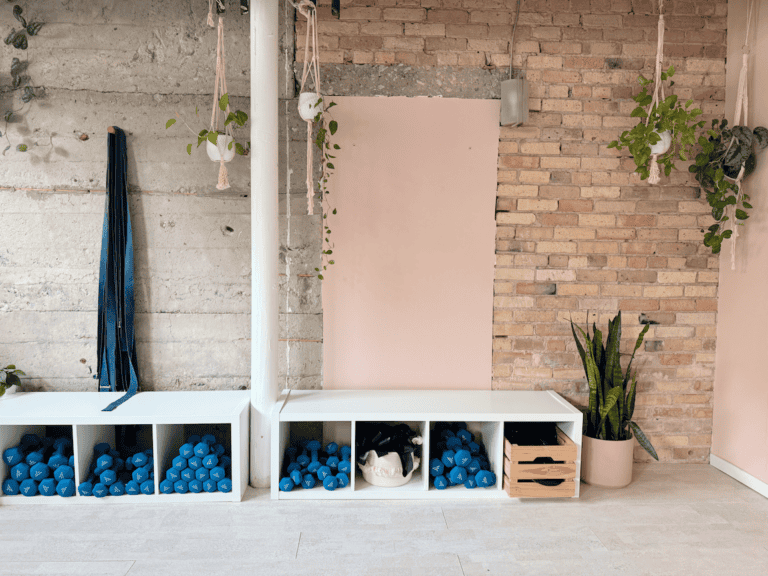 Pure Yoga Toronto - Yoga Studio Libery Village