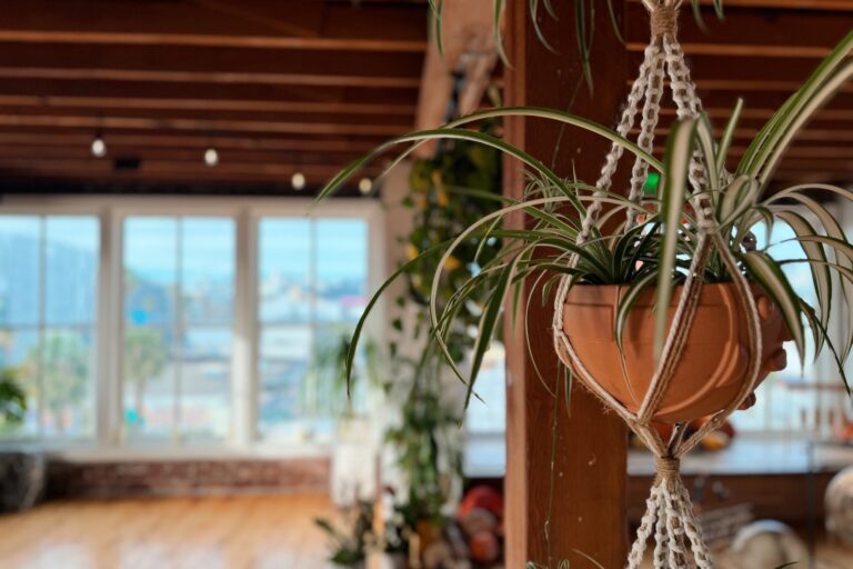 HAUM Yoga San Francisco Yoga Studio HAUM Yoga San Francisco Yoga Studio