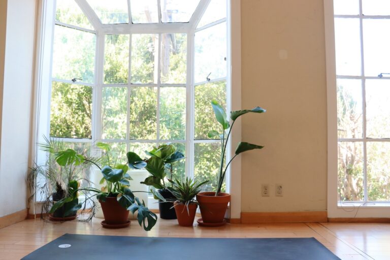 Yoga Flow SF Union - Yoga Studio San Francsico