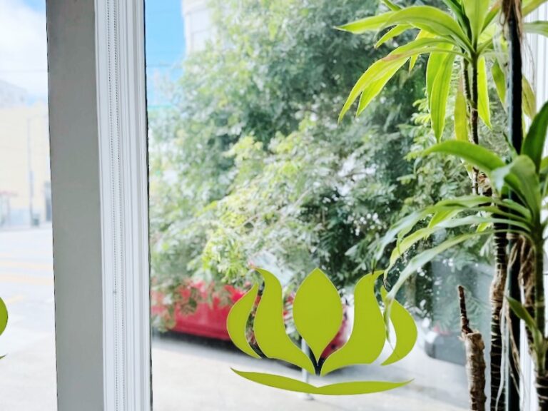 The Pad Studios - plants window