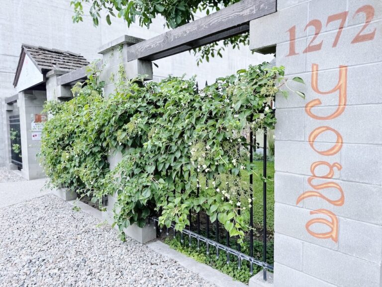 Kelowna Yoga House - Outside streetview gate